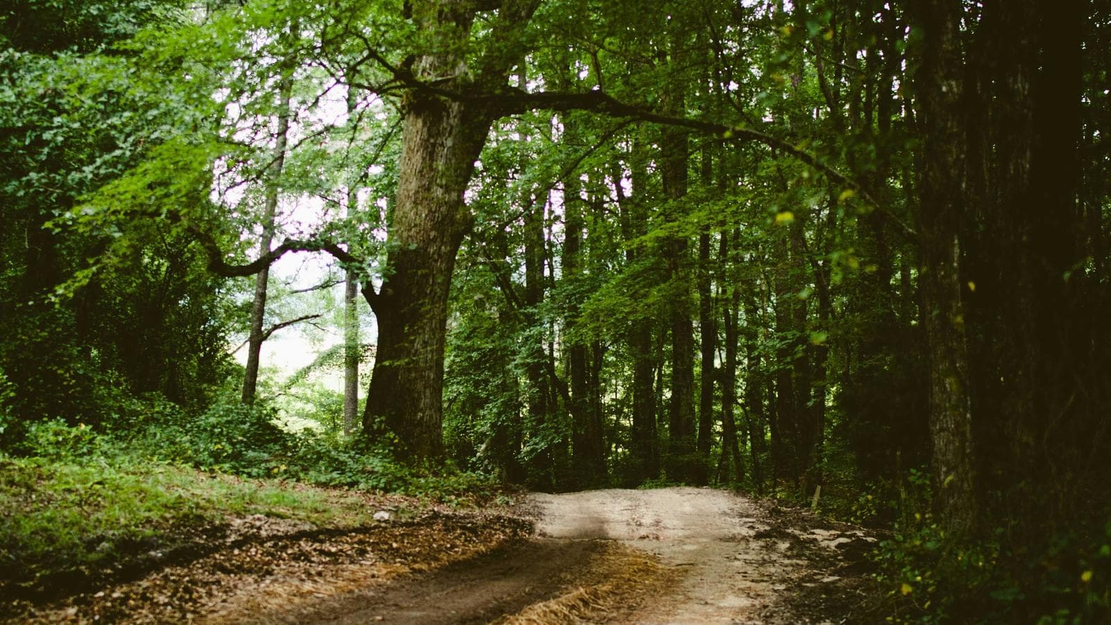 Stanage Edge gallery image 1